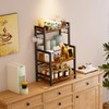Kitchen Countertop Organizer,3 Tier Large Spice Rack Organizer with Adjustable