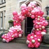 PartyWoo Mauve Balloons 50 pcs 12 Inch Dark Hot Boho