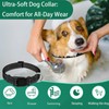 Dog Collar, Reflective Dog Collar with Safety Buckle, Adjustable Collar