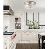 Litaddscen Hammered Glass Brushed Nickel Flush Mount Ceiling Light,2-Lights Modern