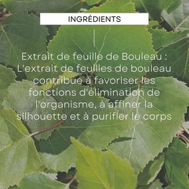 Weleda Cellulite-Birkenöl, Cellulite-Behandlung auf Basis von Bio-Birkenblättern für sichtbar glattere und geschmeidigere Haut (1 x 200 ml)