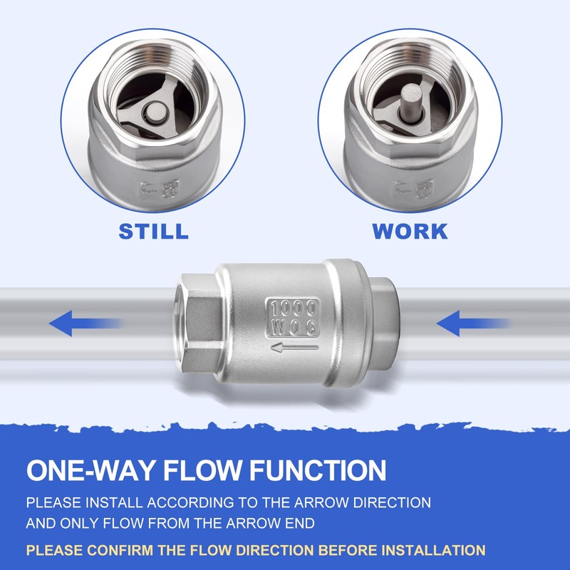 Bwintech 1 Pc Check Valve, 1/2" BSP Female Thread Stainless