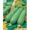 Mr Fothergills Mr Fothergill's 17627 Vegetable Seeds, COURGETTES & Summer