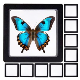 3D Floating Display Case | Clear Floating Storage Box Display Case,Multifunctional Compact Transparent Holder for Bracelet Earring Stamp Nail Accessories