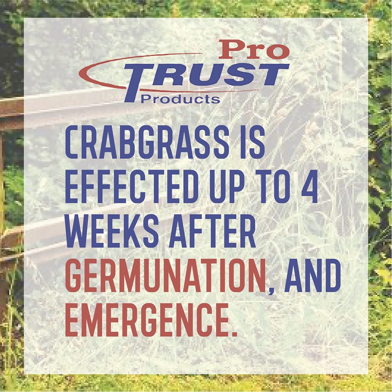 Turf Trust Crabgrass Control with Dimension 0-0-7, 5M, 10 Pound