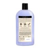 Village Naturals Therapy Chronic Pain & Fatigue Body Wash 20