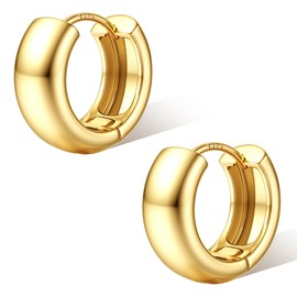 FIOROYAL Silver Hoop Earrings for Women, 925 Sterling Silver Small Chunky Hoops, 14K Gold Plated Huggie Earrings, Hypoallergenic Lightweight Silver Gold Earrings for Sensitive Ears G12