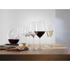 Spiegelau Hi-Lite 1750169 Set of 2 Crystal Champagne Flutes 12oz