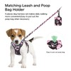 Petmolico No Pull Dog Harness Set with Leash Attachment Easy