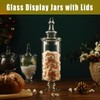 Apothecary Jars Glass Decorative Candy Jars,Candy Buffet Display, Elegant Storage