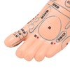 2pcs 19cm / 7.5in Feet Acupoint Model Acupuncture Teaching Aids