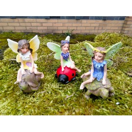 Divas World Fairy On Tortoise Snail and Ladybird Statue Enchanted Garden Decoration Outdoor Ornaments Lawn Patio Gift (Pack of 3)