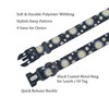 Ovale Dog Collar and Leash Combo Set, Daisy Floral Pattern,