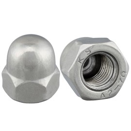 Cap Nuts High Shape According to DIN 1587 Rustproof Stainless Steel A2 V2A Hexagonal Acorn Nuts (Pack of 10, M10)
