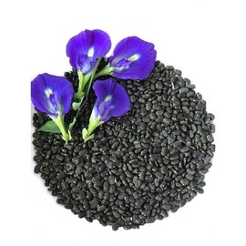 Butterfly Pea Flower Seeds, 100 Blue Butterfly Pea Vine Seeds (Clitoria Ternatea) by Mai's Family LLC