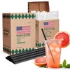 Glotoch Express 1000 PCS Individually Wrapped Black Plastic Straws, 10.25''