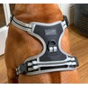 Hem and Boo Dog Harness, Sport Harness, No-pull Reflective Stitching,