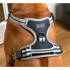 Hem and Boo Dog Harness, Sport Harness, No-pull Reflective Stitching, Outdoor Adventure Big Dog Harness Perfect Match Puppy Vest Harness (Black, XS)