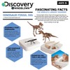 Discovery #MINDBLOWN Dinosaur Fossil Dig Excavation Kit, 15 Piece T-Rex