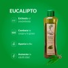 Shampoo Natural Refrescante Arbol Verde 500 Ml