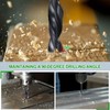 METALLIXITY Drill Bit (1.75mm) 12Pcs, 4241 High-Speed Steel Straight Shank