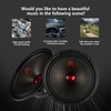 GRTSKY MX65P1 Loudspeaker 6.5 Inch Midrange 200 Watts 4 Ohms