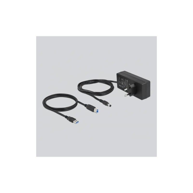 Delock 63670 External SuperSpeed USB Hub with 10 Ports +