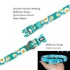 Olahibi Dog Collar and Leash Combo Set, Cute Daisy Pattern,