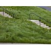 Starting Gardens Creeping Red Fescue Grass Seed, Shade Tolerant Fescue,