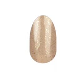 Color Street Nails ~ SANDS OF TIME ~ Retired