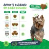 Waggys Belly, Suplemento Digestivo con Probióticos para Perros, 60 pzs