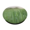 Rain Drops Dew Lawn Green Grass Summer Pop Mount Socket