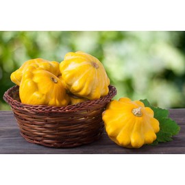 Seeds4planting - Seeds Yellow Patty Pan Scallop Scallopini Squash Bush Zucchini Non GMO Heirloom