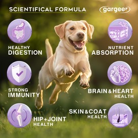 Gargeer Dog Multivitamin. 11-in-1 Multivitamin Chews for Dogs, Rich with Fatty Acids & Antioxidants. Supports Healthy Gut, Mobility and Immune System. for Seniors and Puppies – 60 Soft Chews, Enjoy!