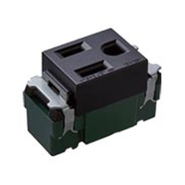 Panasonic WN1101MB Embedded Ground Outlet Matte Black