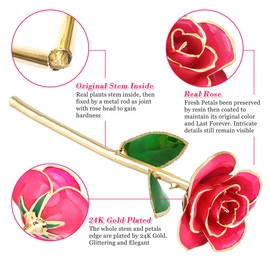 Ejoyous Gold Plated Rose, 24K Gold Dipped Real Rose Flower Gift para Lover Mom Wife Hija Girl Friend, presente en el día de la madre, aniversario de bodas, cumpleaños, propuesta, recompensa (rosa con soporte)