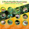 SPOTTEDSALAMANDER Reptile Heat Lamp Used in Reptiles 75W 100W Heat