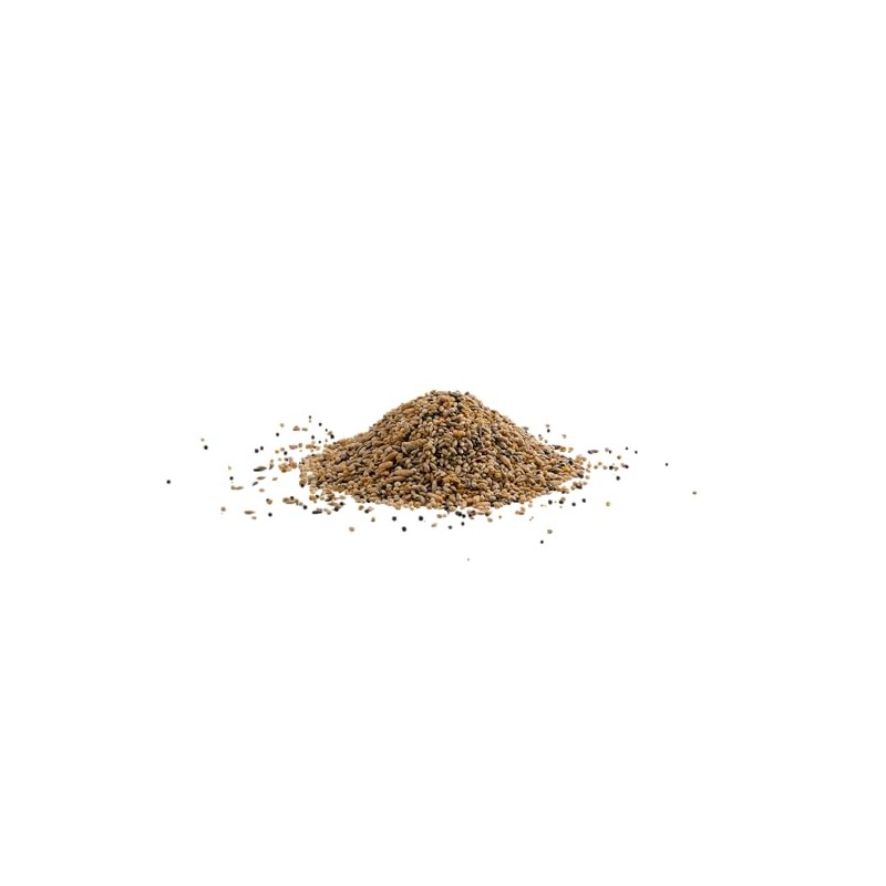 MEZCLA DE SEMILLAS P/LORITOS Y NINFAS 500 G