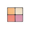 POLA B.A 3D Oasis Eye Color EX01 Sunshine Bouquet [Eye