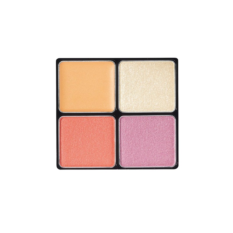 POLA B.A 3D Oasis Eye Color EX01 Sunshine Bouquet [Eye