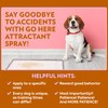 OUT! Go Here Dog Attractant, Pet Potty Training Spray, Indoor