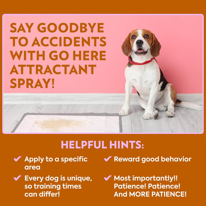 OUT! Go Here Dog Attractant, Pet Potty Training Spray, Indoor