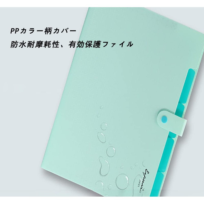 Document Holder Organ Pack, Basic File Case, Document File, Storage