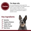 Vet Classics Blood & Energy Support for Dogs, Supports Endurance