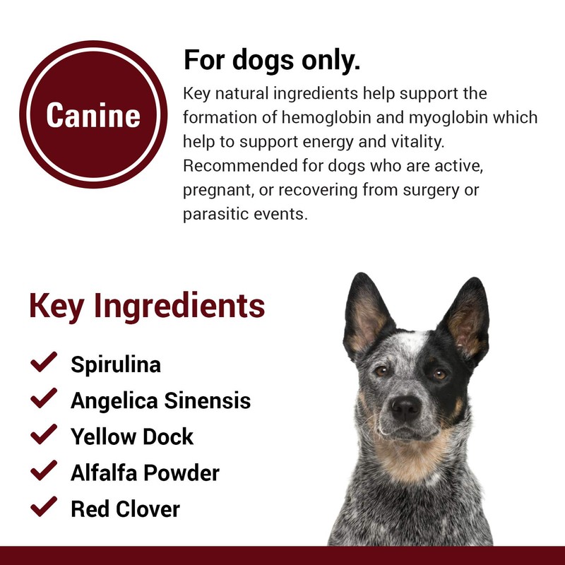 Vet Classics Blood & Energy Support for Dogs, Supports Endurance
