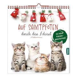 Auf Samtpfoten durch den Advent: 24 neue Katzengeschichten