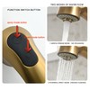 BRAVEBAR Gold Kitchen Faucet with Sprayer - Matte Brushed Gold