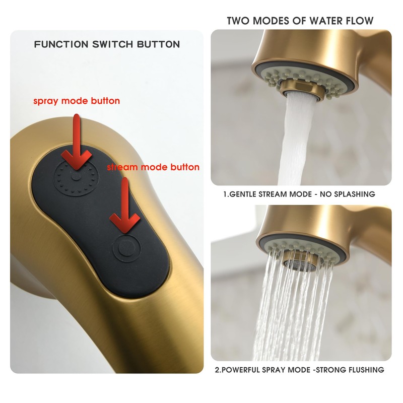 BRAVEBAR Gold Kitchen Faucet with Sprayer - Matte Brushed Gold