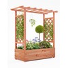 Elevated Garden Bed with Trellis - Wooden Planter Box with