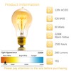 Sevici A19 Edison Light Bulb,E26 Incandescent Light Bulbs 60W Antique
